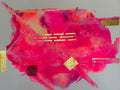 Neon Blossom